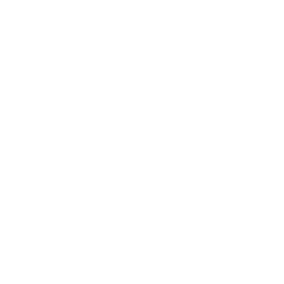 Plane icon