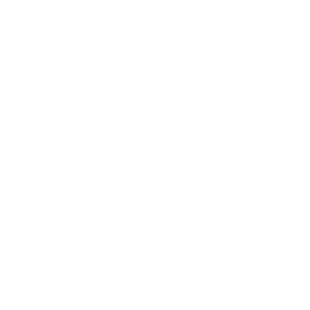 smart home icon